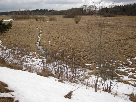 Feuchtwiese an der Maltsch